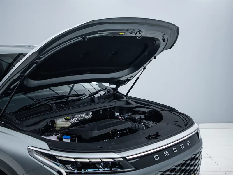 Vehicle Image for 18/36for OMODA C9 2.0T Inspire