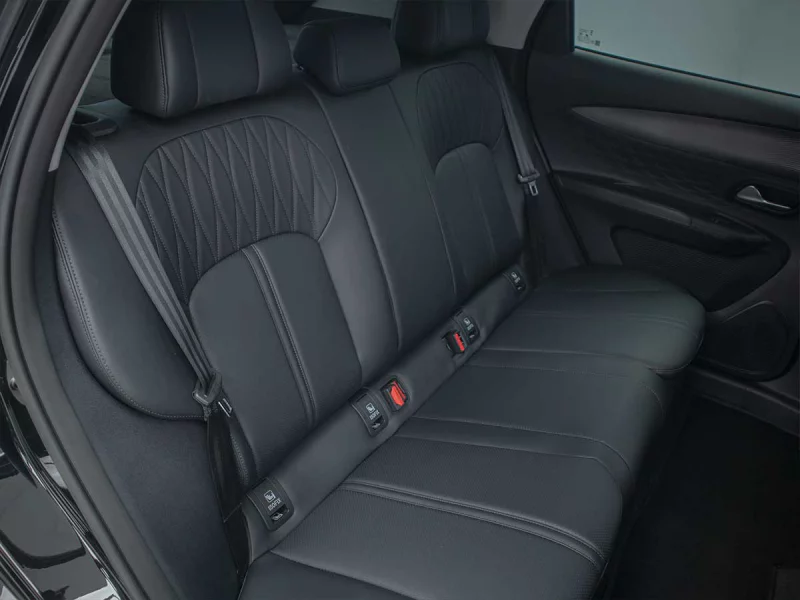 Vehicle Image for 23/24for Lepas L4 1.5T Pantera DCT